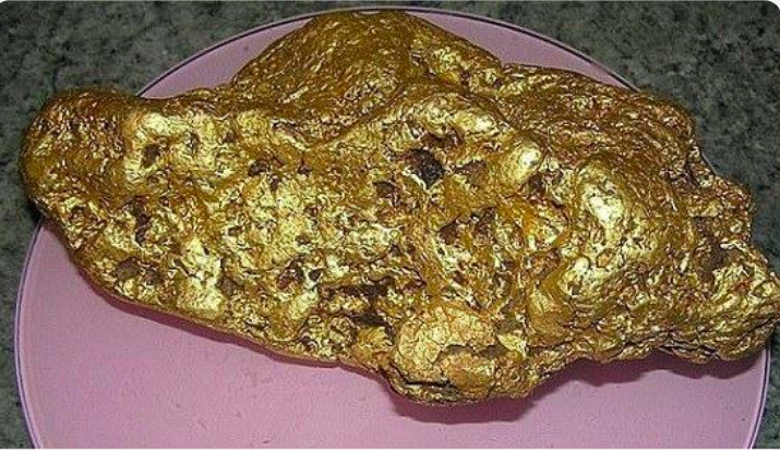 他意外挖到这块「4kg巨无霸黄金」,拿去卖掉后的「超惊人天价」让他